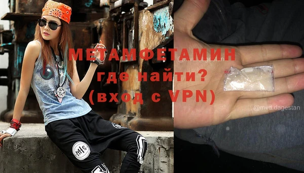 шишки Приозерск