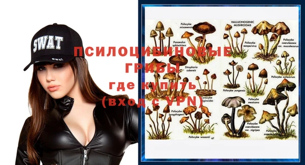 PSILOCYBIN Алзамай