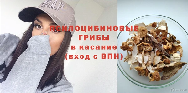 PSILOCYBIN Алзамай