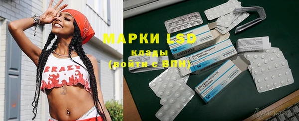 PSILOCYBIN Алзамай