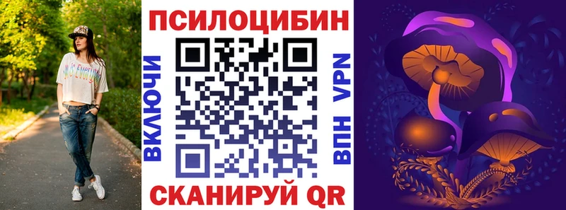 Псилоцибиновые грибы прущие грибы Осинники