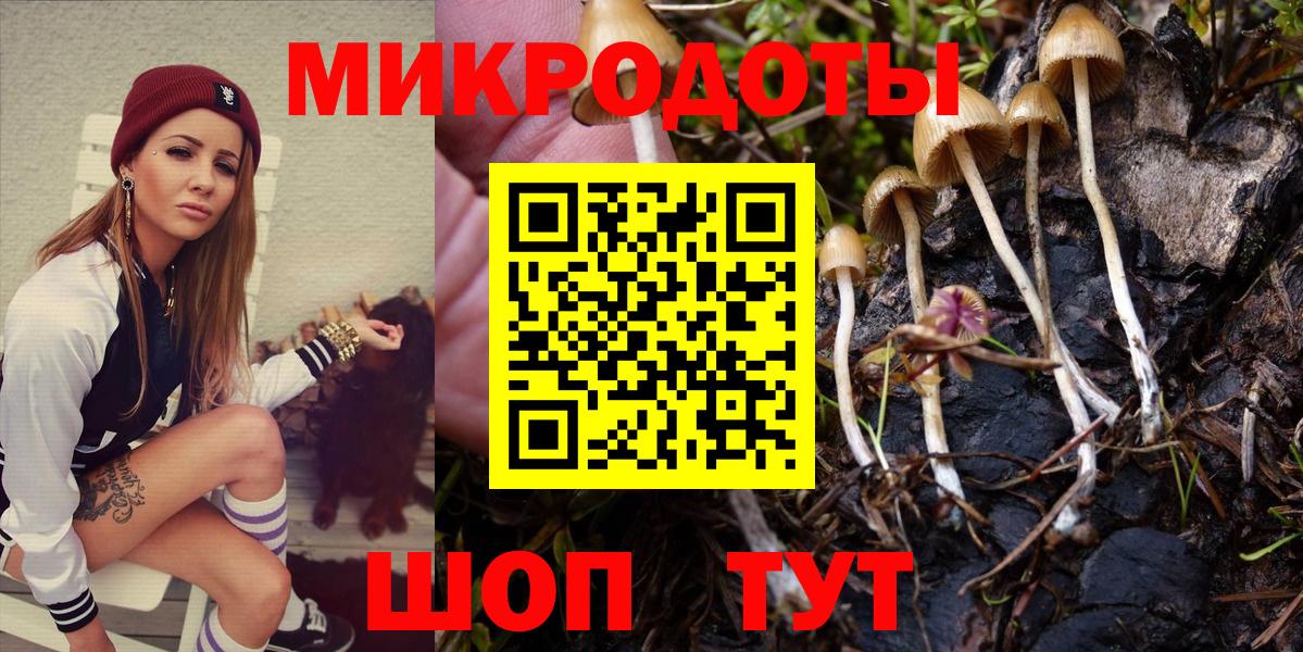 Галлюциногенные грибы мицелий Осинники